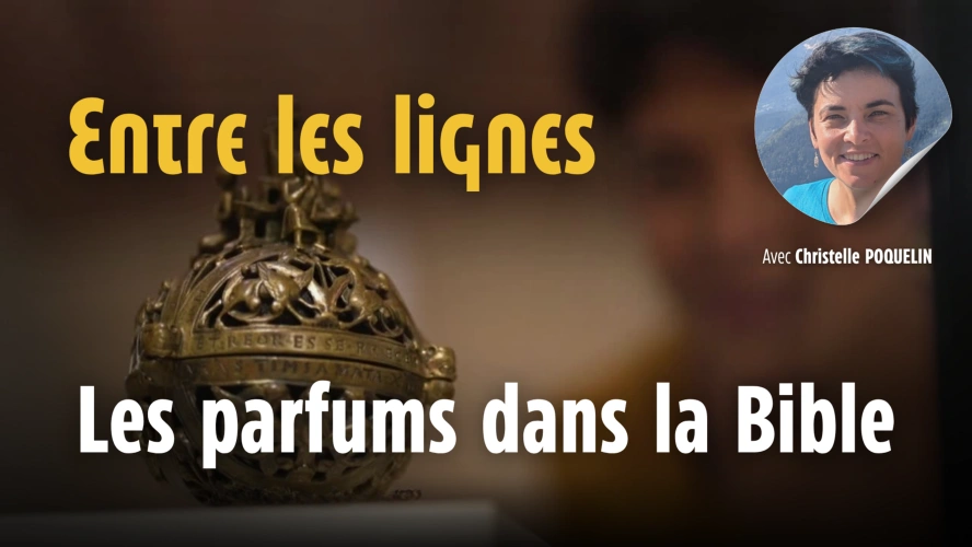 Entre les lignes - Les parfums de la Bible