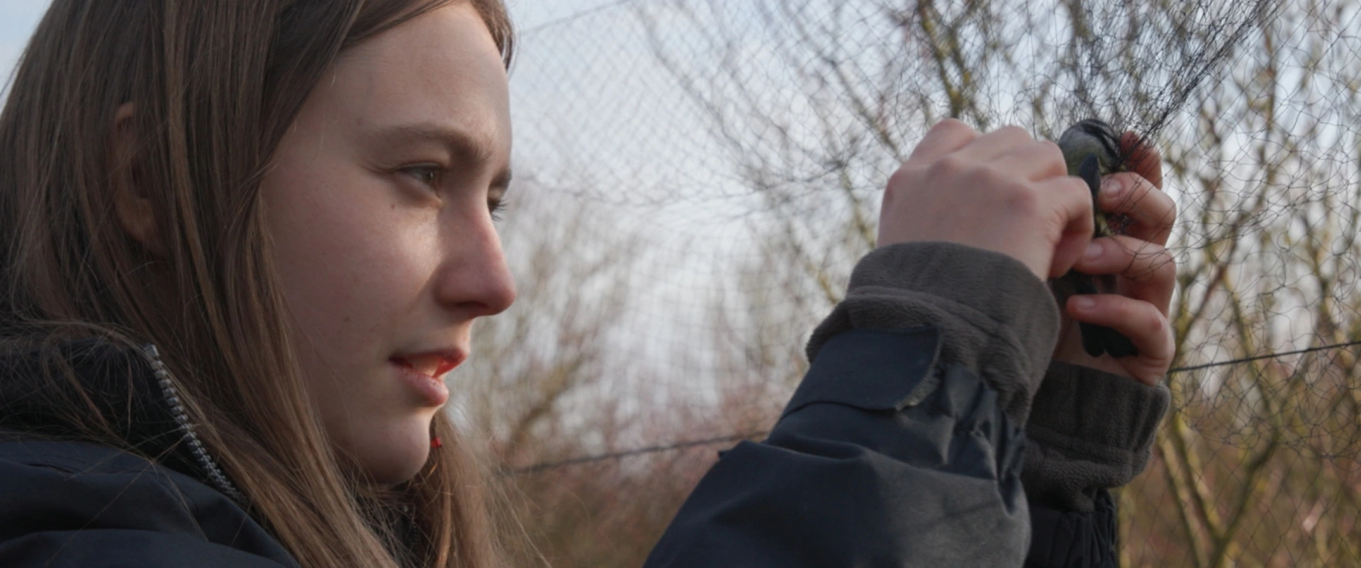 La coccinelle et le brocard