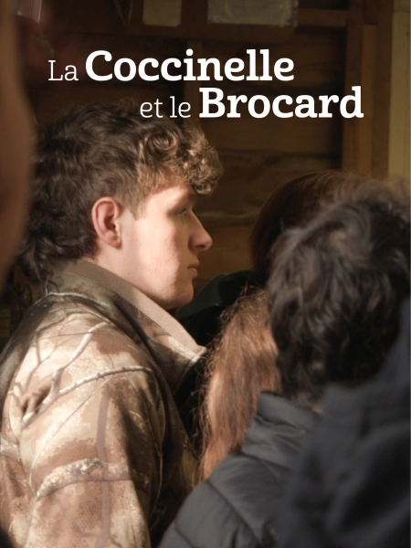 La coccinelle et le brocard