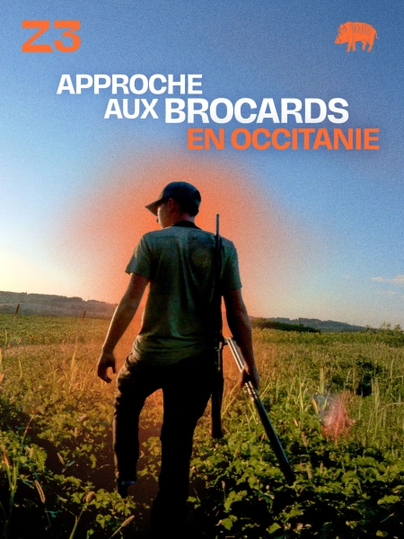 Approche aux brocards en Occitanie