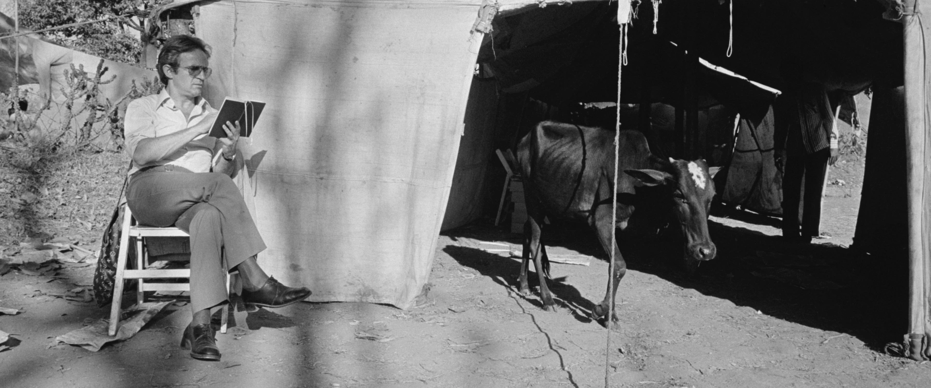 François Truffaut - Mitt liv som manus