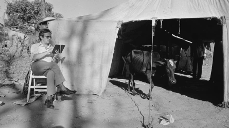 François Truffaut - Mitt liv som manus