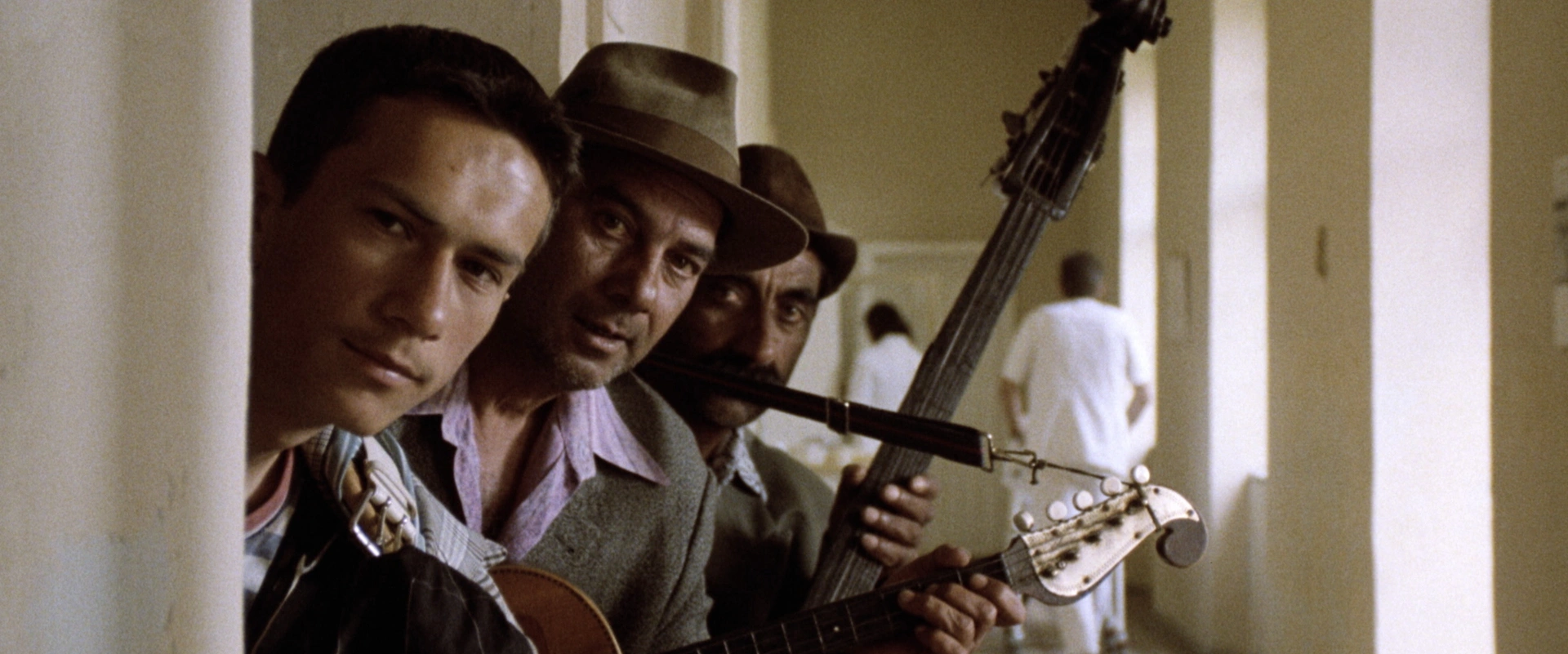 Svart katt, vit katt