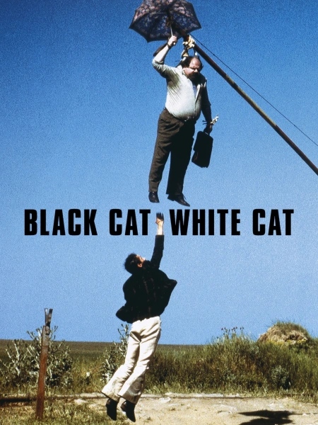 Svart katt, vit katt