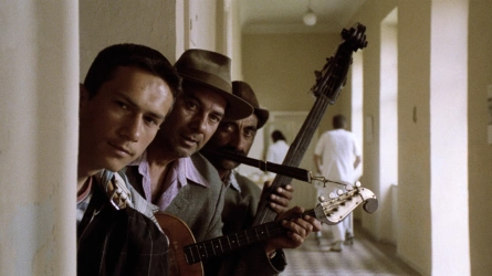 Svart katt, vit katt