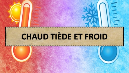 Quiz - Chaud Tiède et Froid