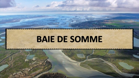 Baie de Somme