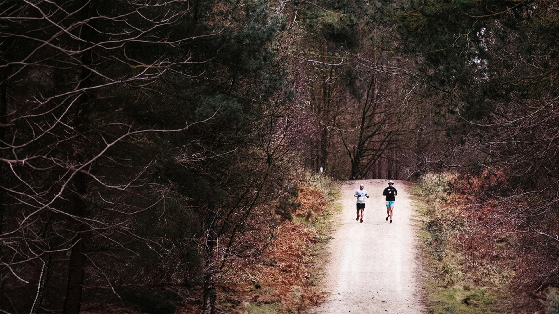 Big Dog's Backyard Ultra 2019