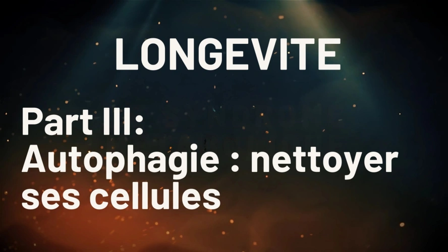 Longévité Part III | Autophagie : nettoyer ses cellules