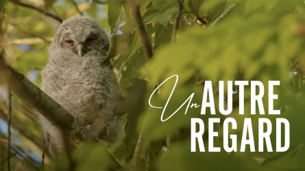 Un autre regard