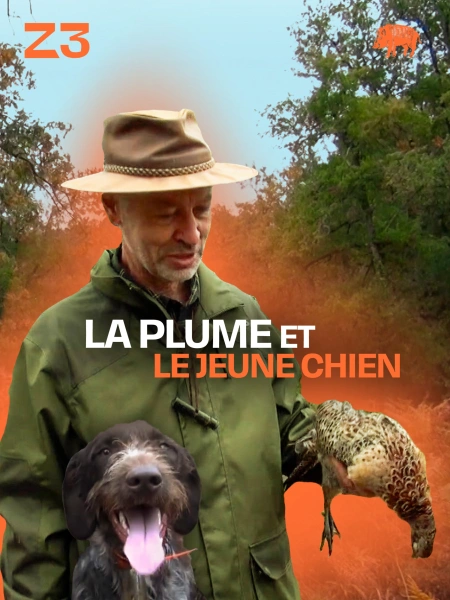 La plume et le jeune chien