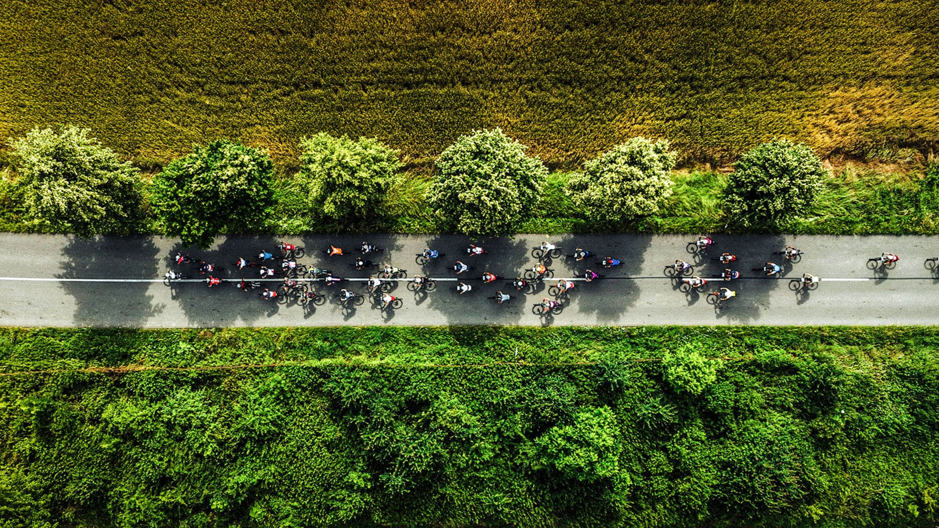 Le Tour de France, dans toutes ses étapes