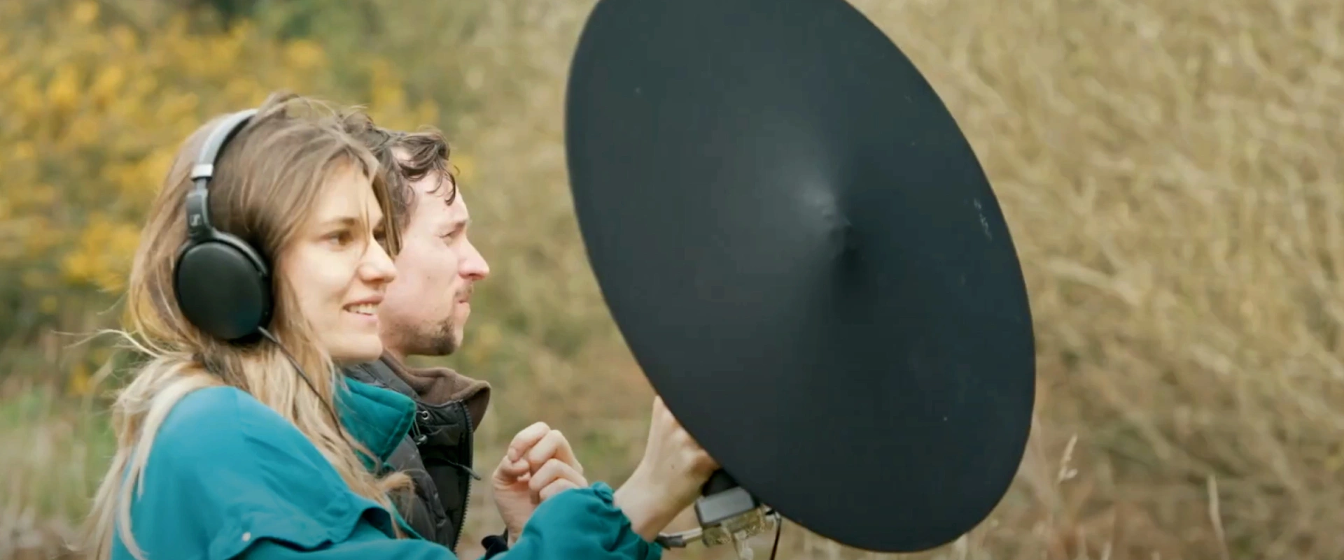 Rosette à la fenêtre