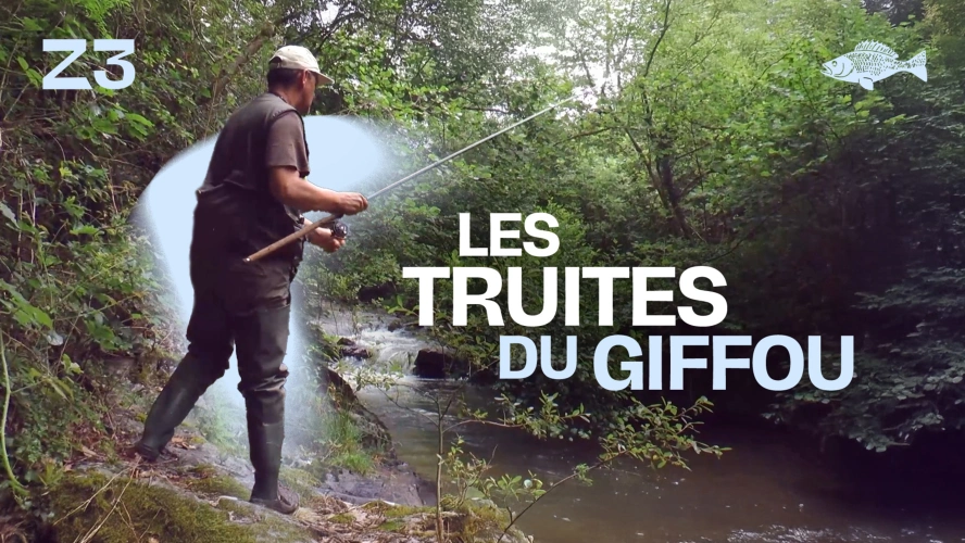 Les truites du giffou