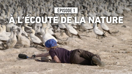 A l'écoute de la nature - Episode 1