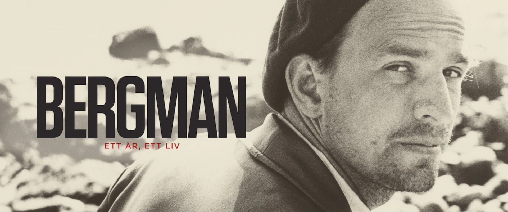 Bergman - Ett år, ett liv