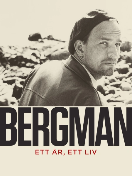 Bergman - Ett år, ett liv
