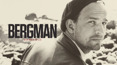 Bergman - Ett år, ett liv
