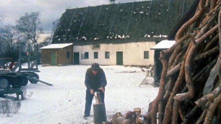 Fårödokument 1979