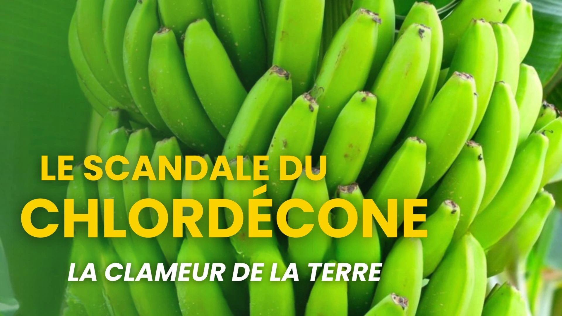 La clameur de la terre