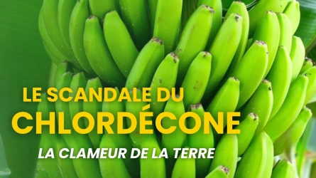 La clameur de la terre