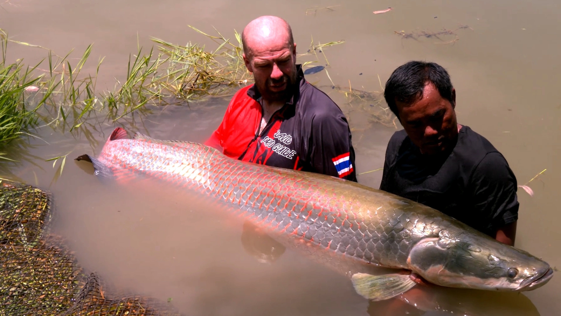 Voyage de pêche en Thailande : arapaima, carpes, poisson chat à queue rouge
