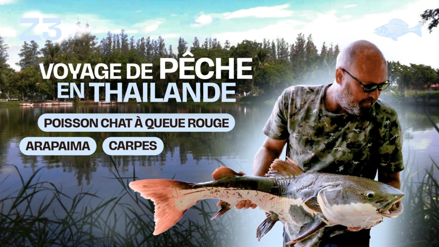 Voyage de pêche en Thailande : arapaima, carpes, poisson chat à queue rouge