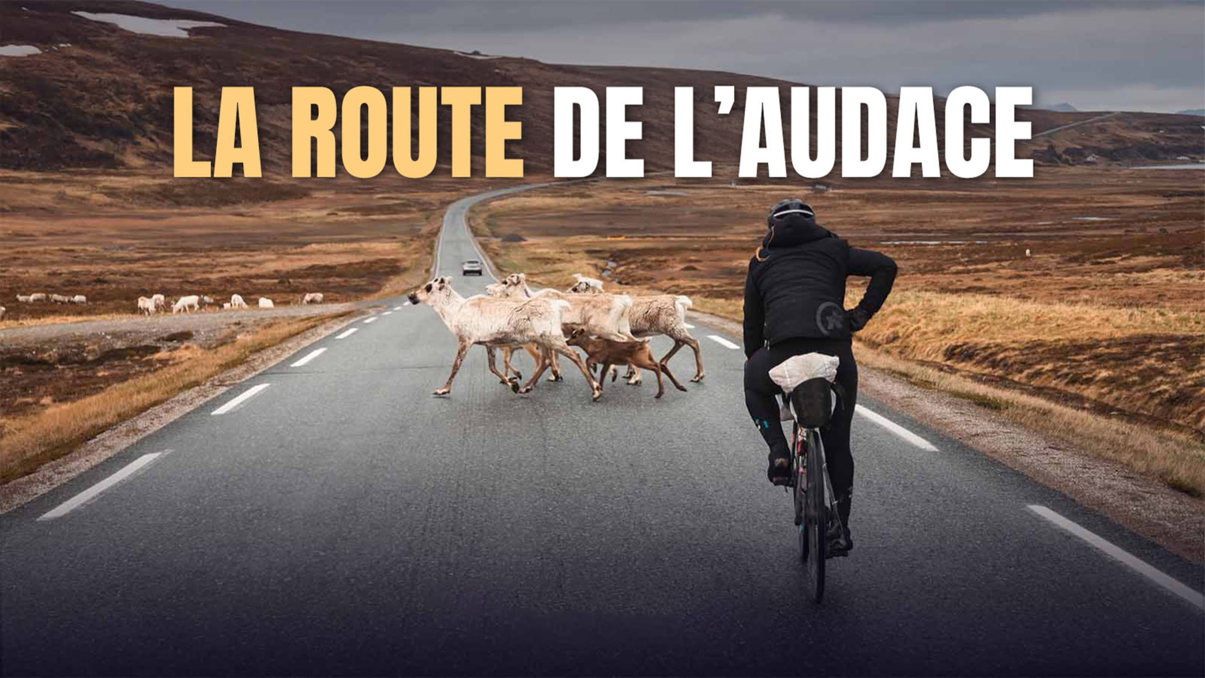 La route de l'audace