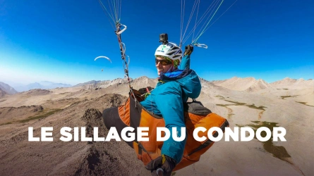 Le sillage du condor
