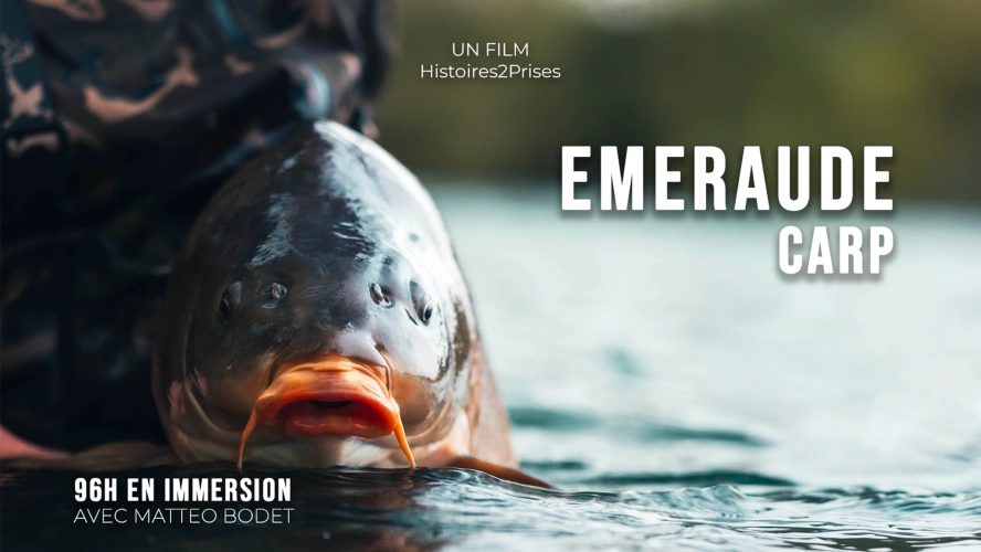 96h en immersion, sur EMERAUDE CARP