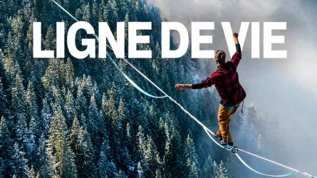 Ligne de vie