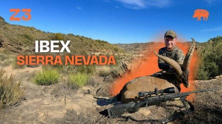 Ibex Sierra Nevada : une colline parmi les montagnes
