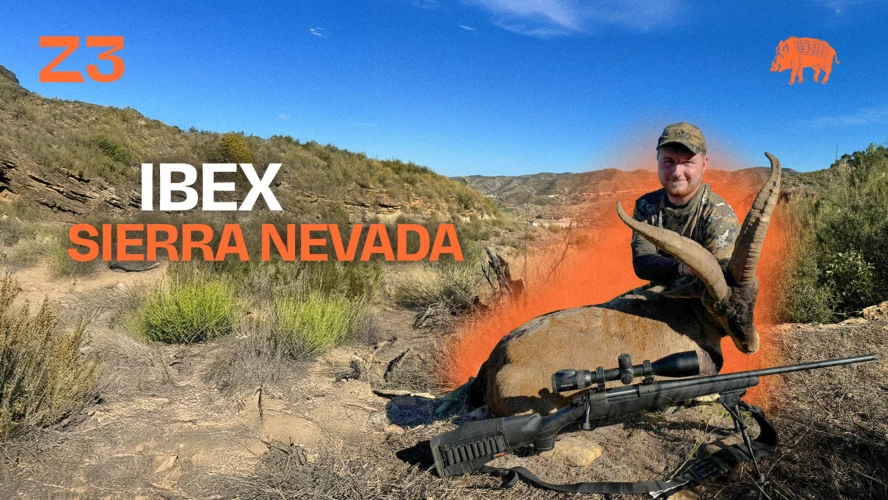 Ibex Sierra Nevada : une colline parmi les montagnes