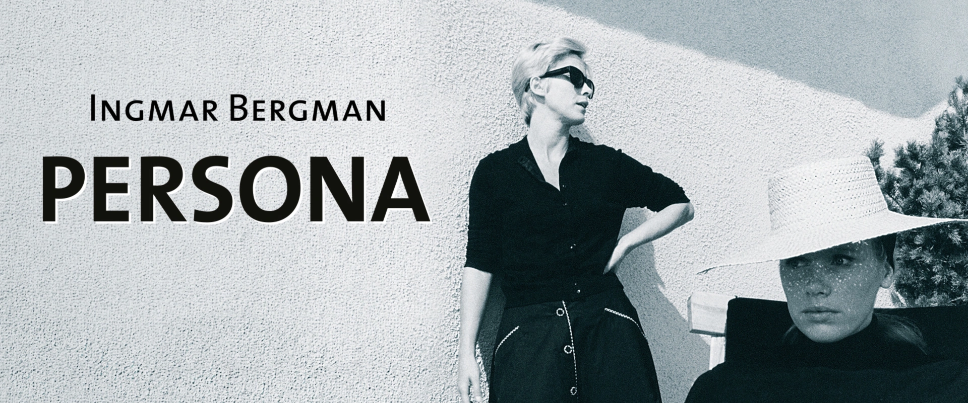 Persona