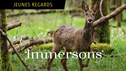 Immersons