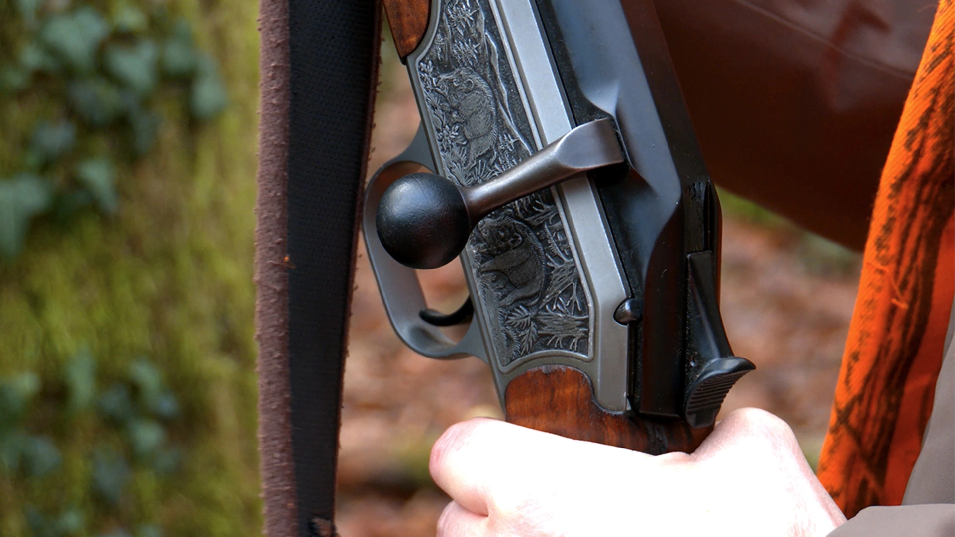 Chasse aux sangliers en Haute-Marne
