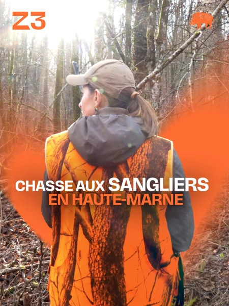 Chasse aux sangliers en Haute-Marne