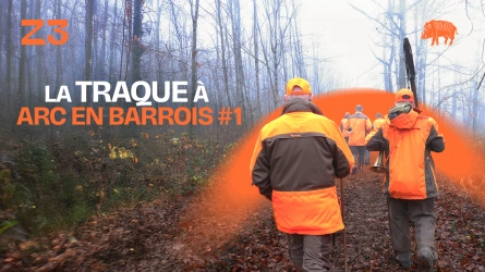 La traque aux sangliers à Arc-en-Barrois - épisode 1
