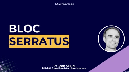 Bloc serratus