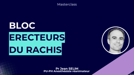Bloc érecteurs du rachis