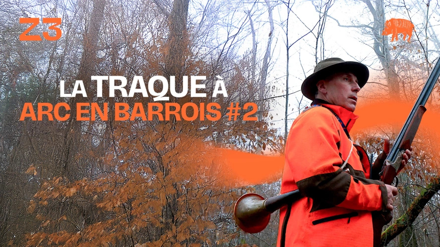 La traque aux sangliers à Arc-en-Barrois - épisode 2