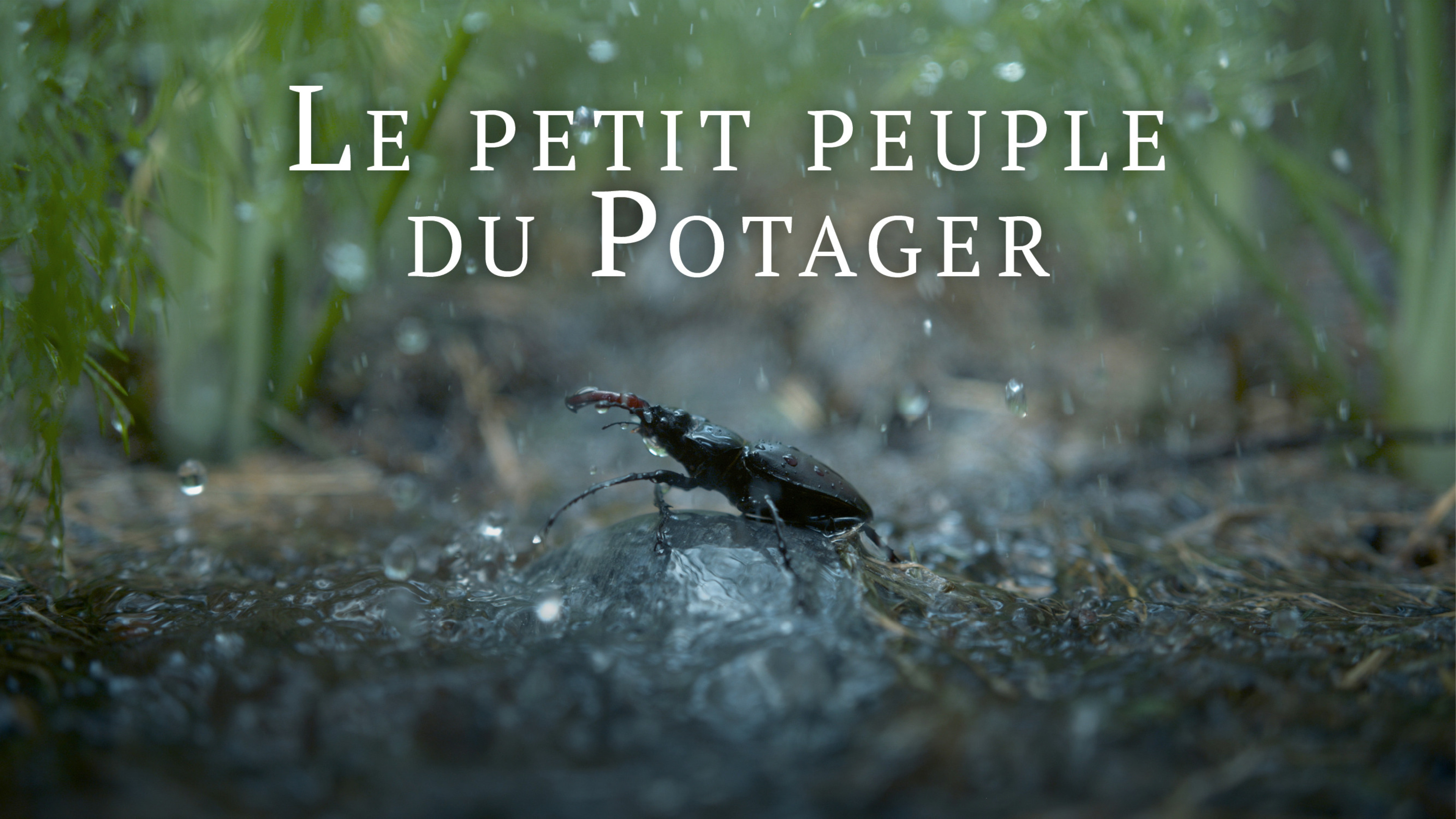Le Petit Peuple du potager