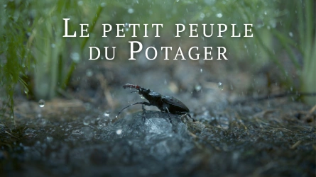 Le Petit Peuple du potager