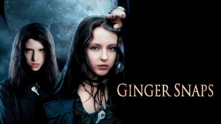 Ginger Snaps