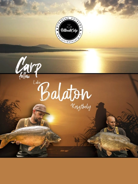 Carp Follow - Lac Balaton - Keszthely