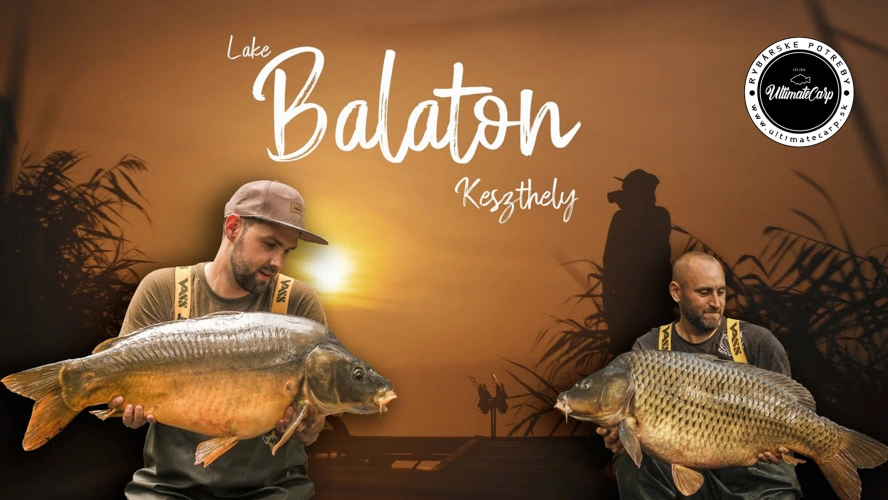 Carp Follow - Lac Balaton - Keszthely
