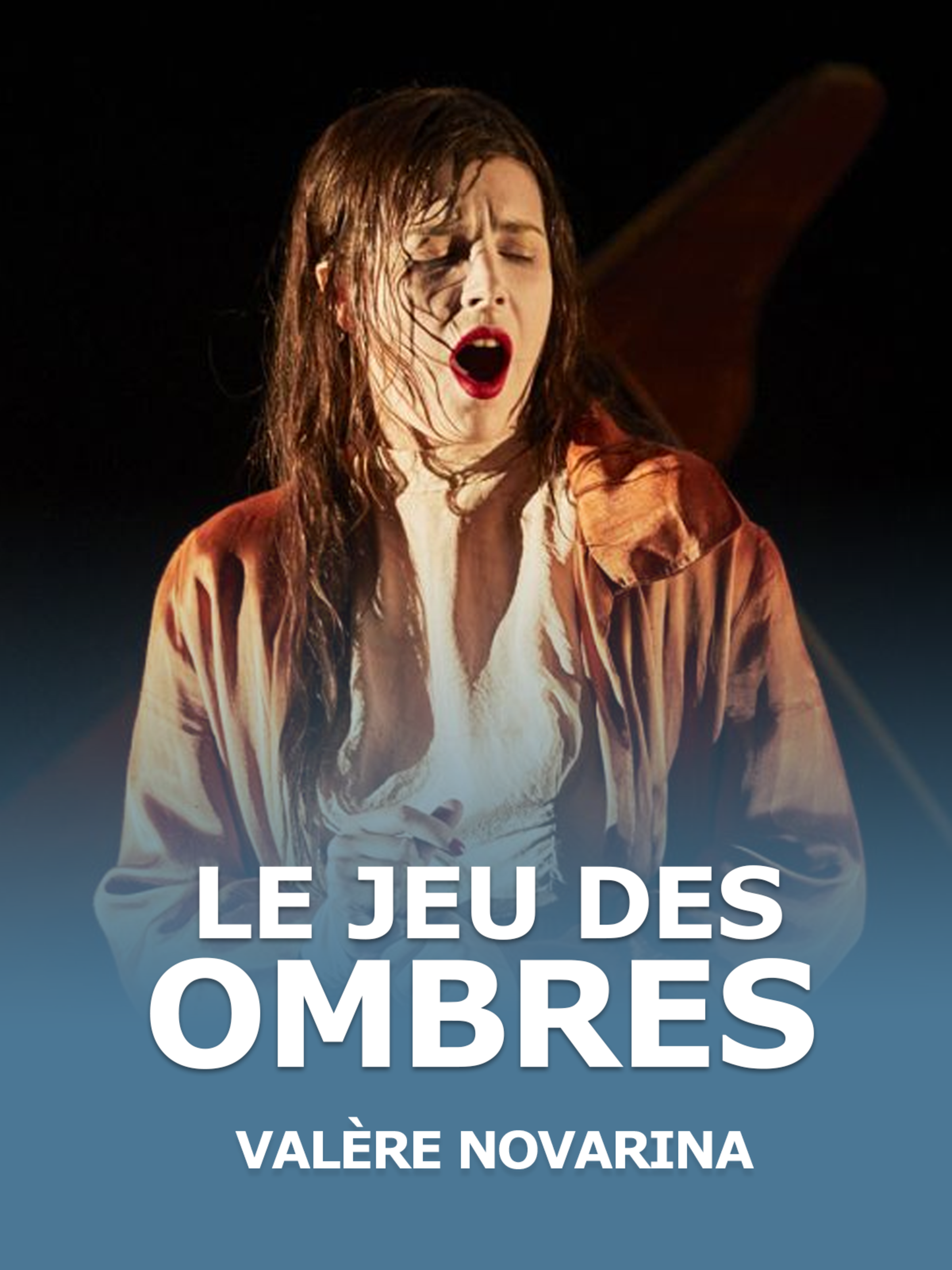 Le Jeu des Ombres