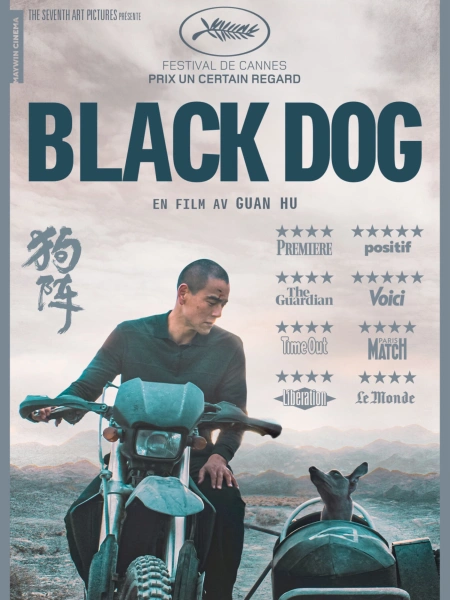 Black Dog