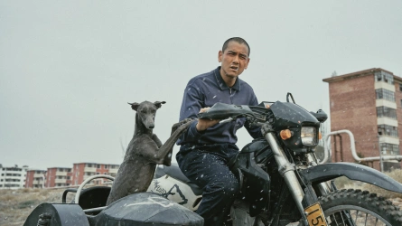 Black Dog