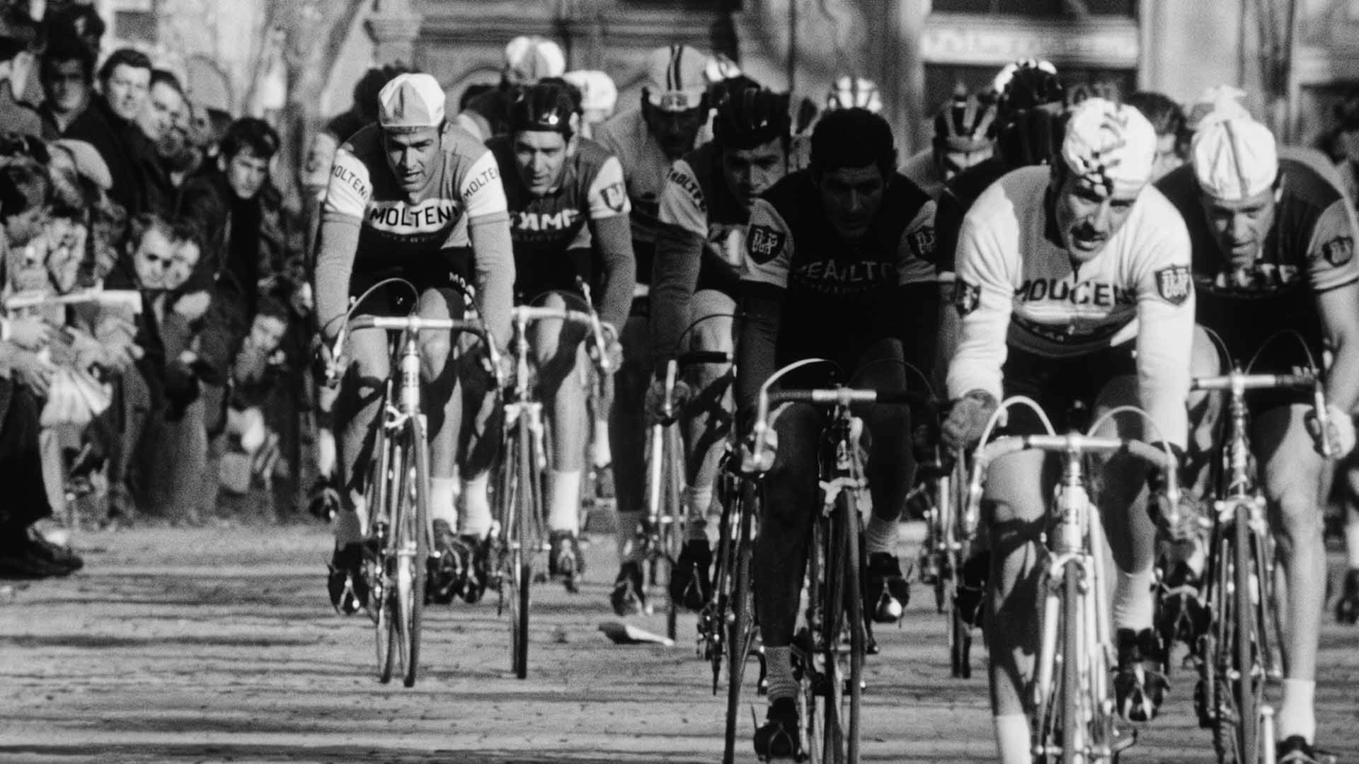 Raymond Poulidor, notre champion